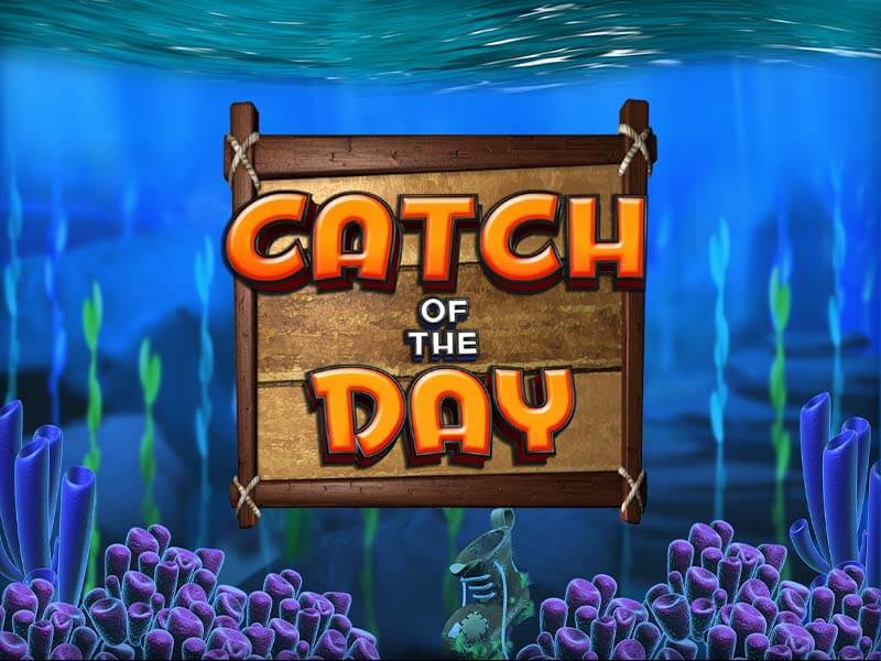 Catch of the Day - Aventura Submarina